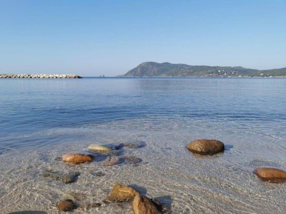 Charmant Studio Climatise 24 M2 Terrasse A 100M De La Plage Saint-Mandrier-sur-Mer Ngoại thất bức ảnh